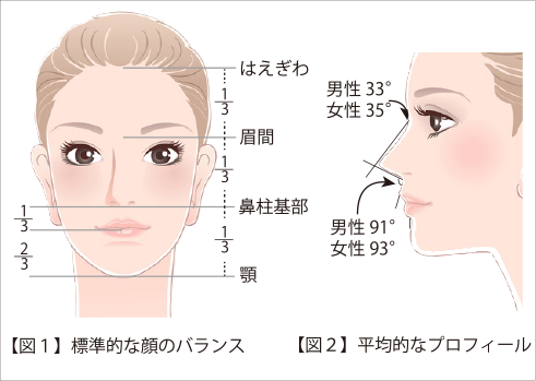 【図１】標準的な顔のバランス【図２】平均的なプロフィール