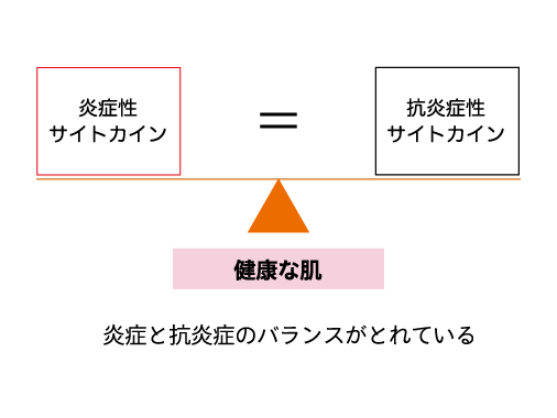 健康な肌 炎症と抗炎症のバランスがとれている