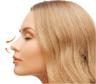 クレオパトラノーズとは、注射式にて多様な形態に特殊加工された縫合糸（MISKO／ミスコ）を鼻の一部または全体に適用することで多様な鼻形成を実現する施術法です。