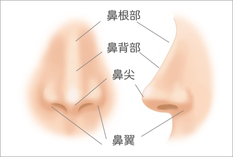 当院の施術について